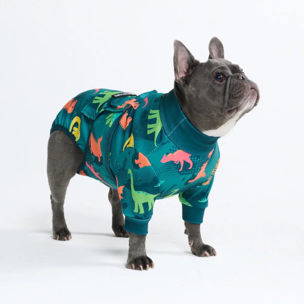 Dog Surgical Suit - Image 12