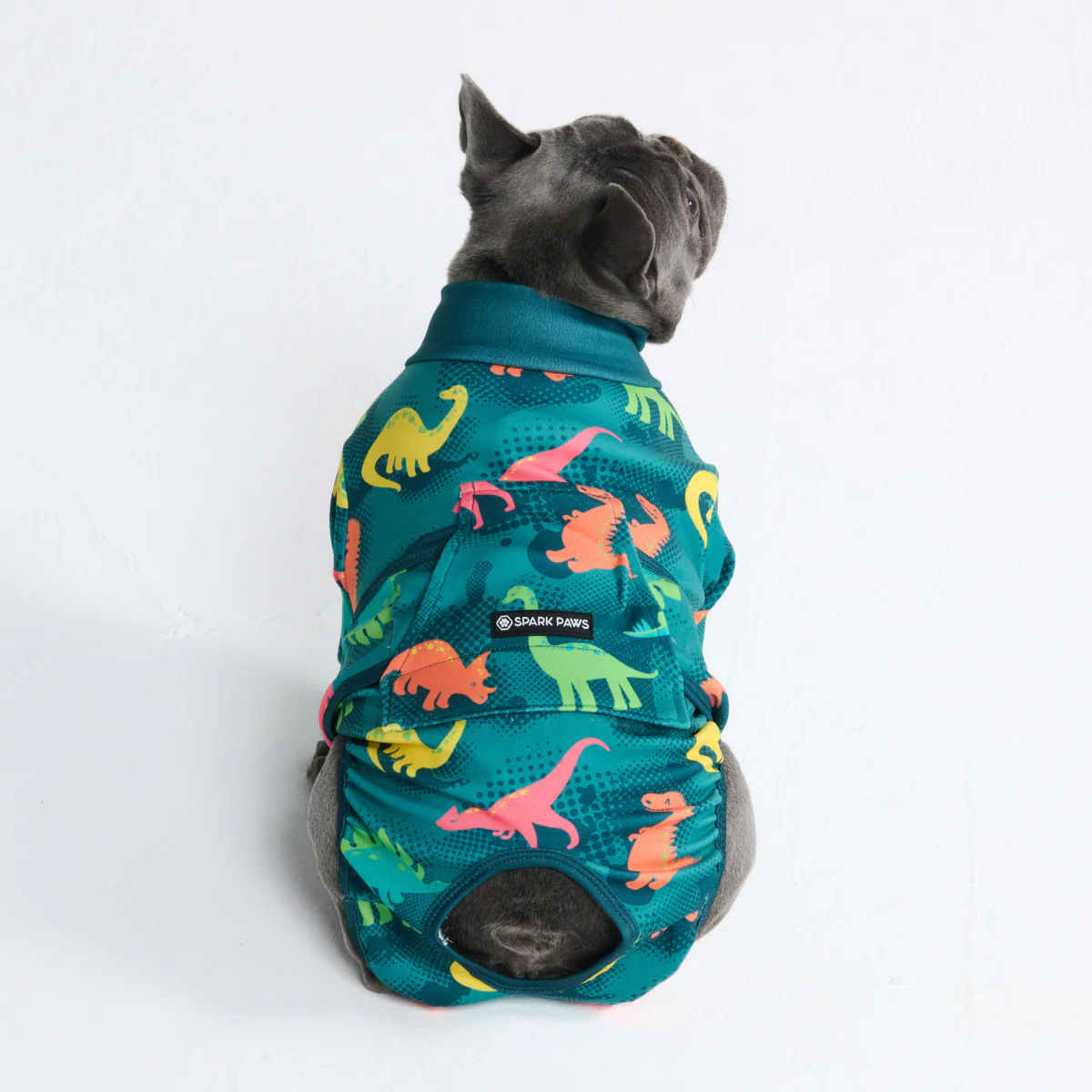 Dog Surgical Suit - Image 13