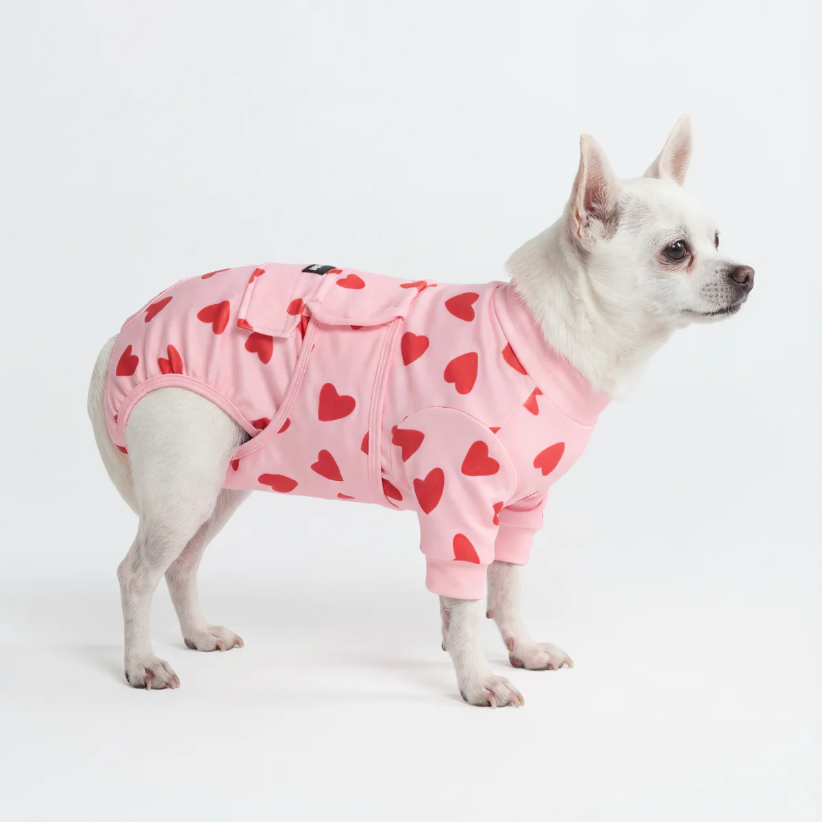 Dog Surgical Suit - Image 135