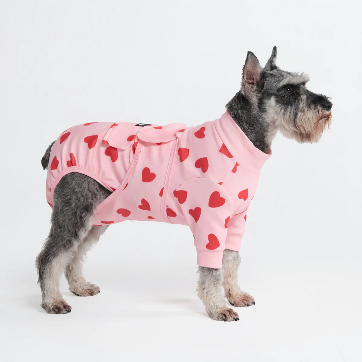 Dog Surgical Suit - Image 136