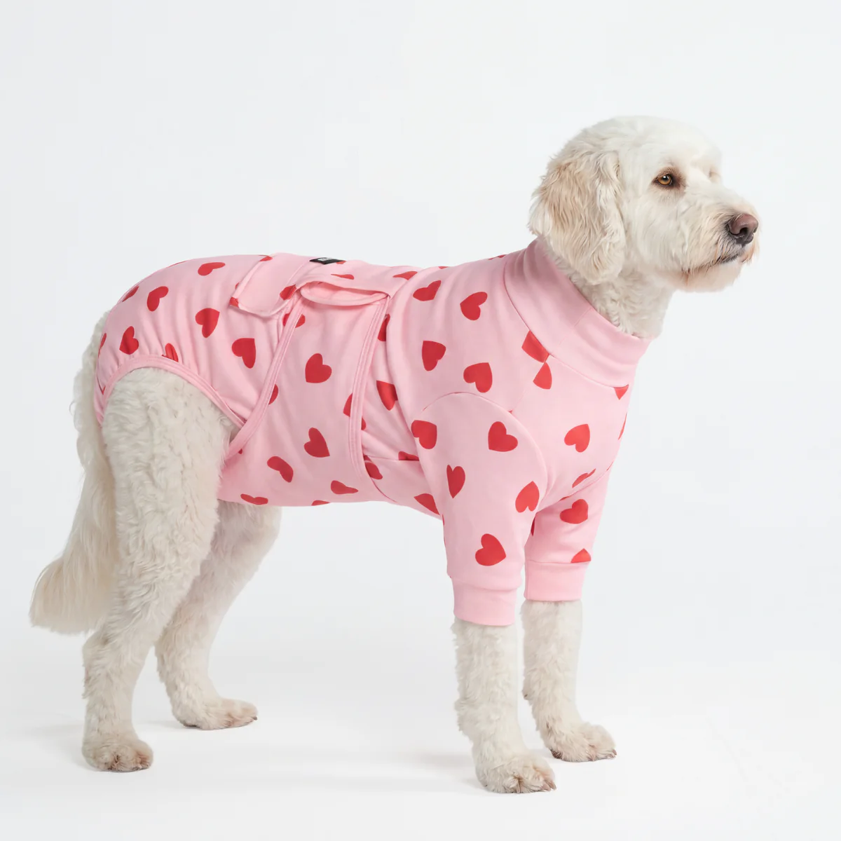 Dog Surgical Suit - Image 138