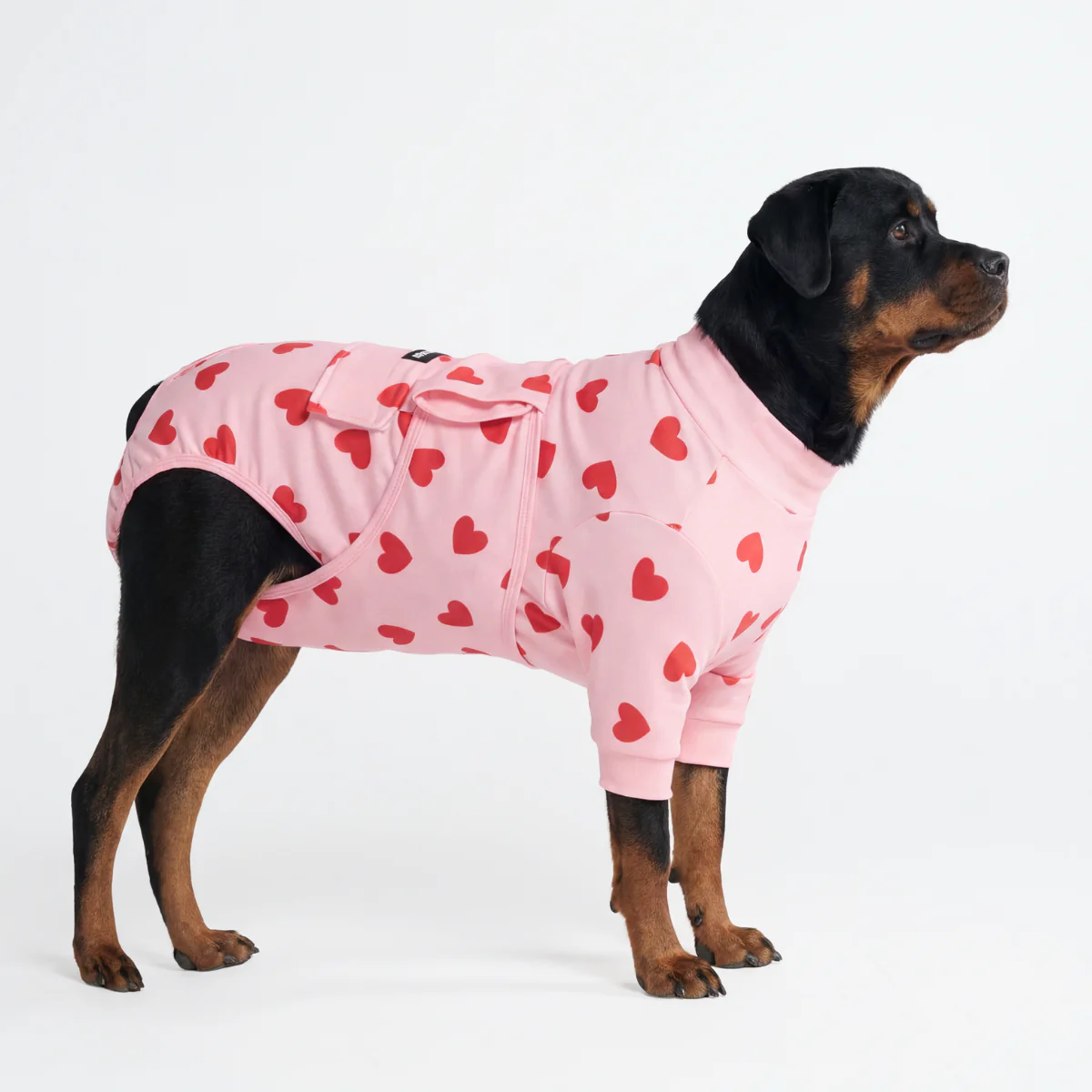 Dog Surgical Suit - Image 139