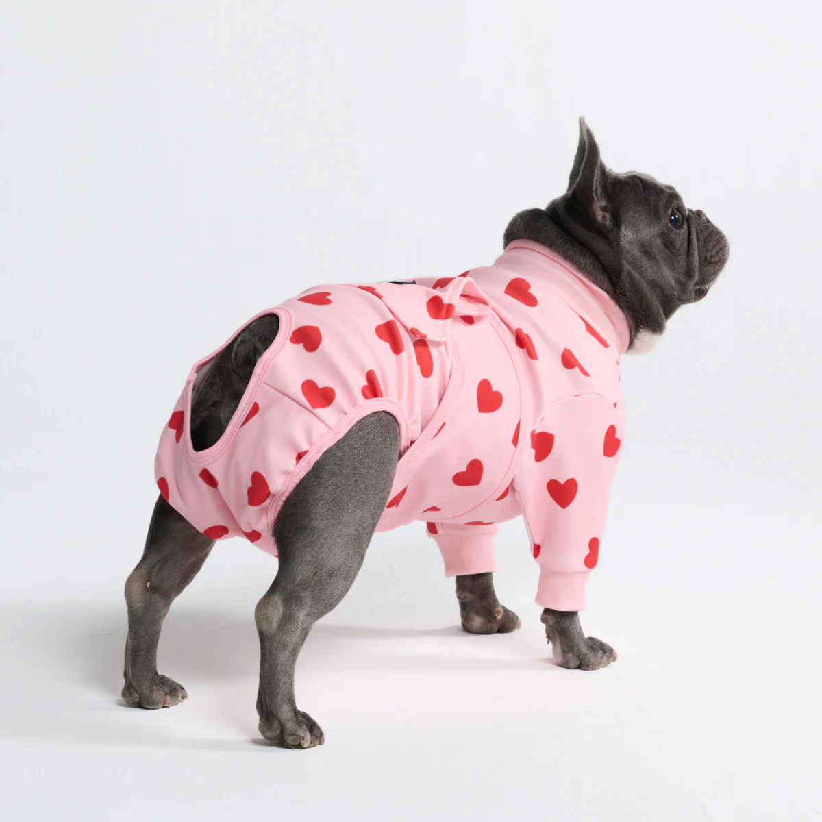 Dog Surgical Suit - Image 143