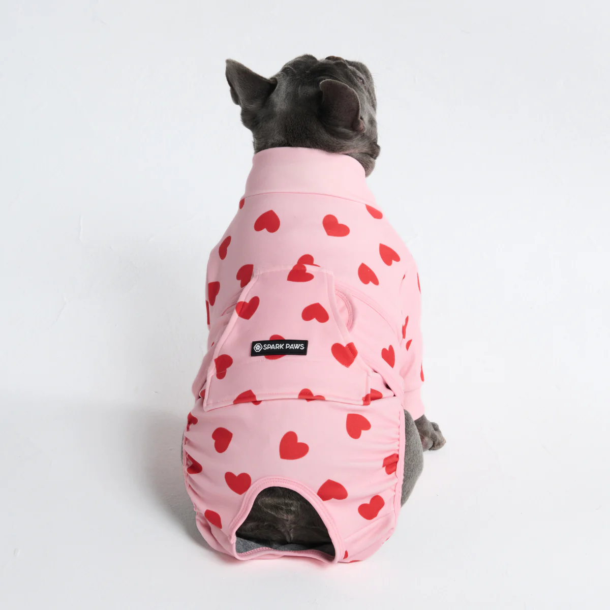 Dog Surgical Suit - Image 145
