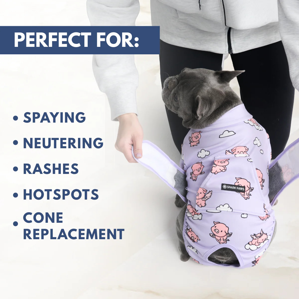 Dog Surgical Suit - When Pigs Fly - Image 7