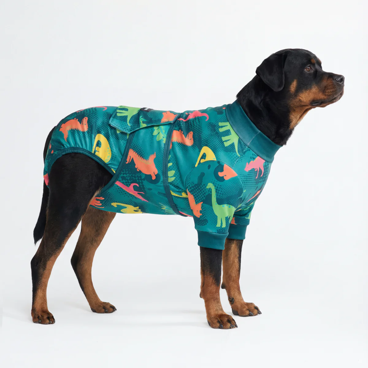 Dog Surgical Suit - Image 3