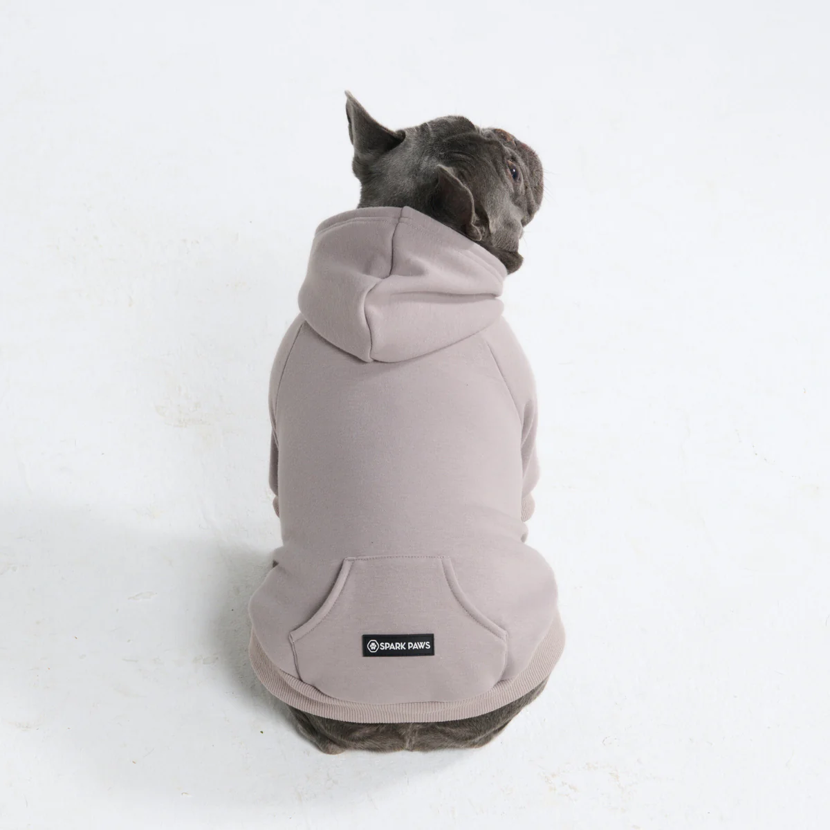 Essential Dog Hoodie - Clay - Image 9