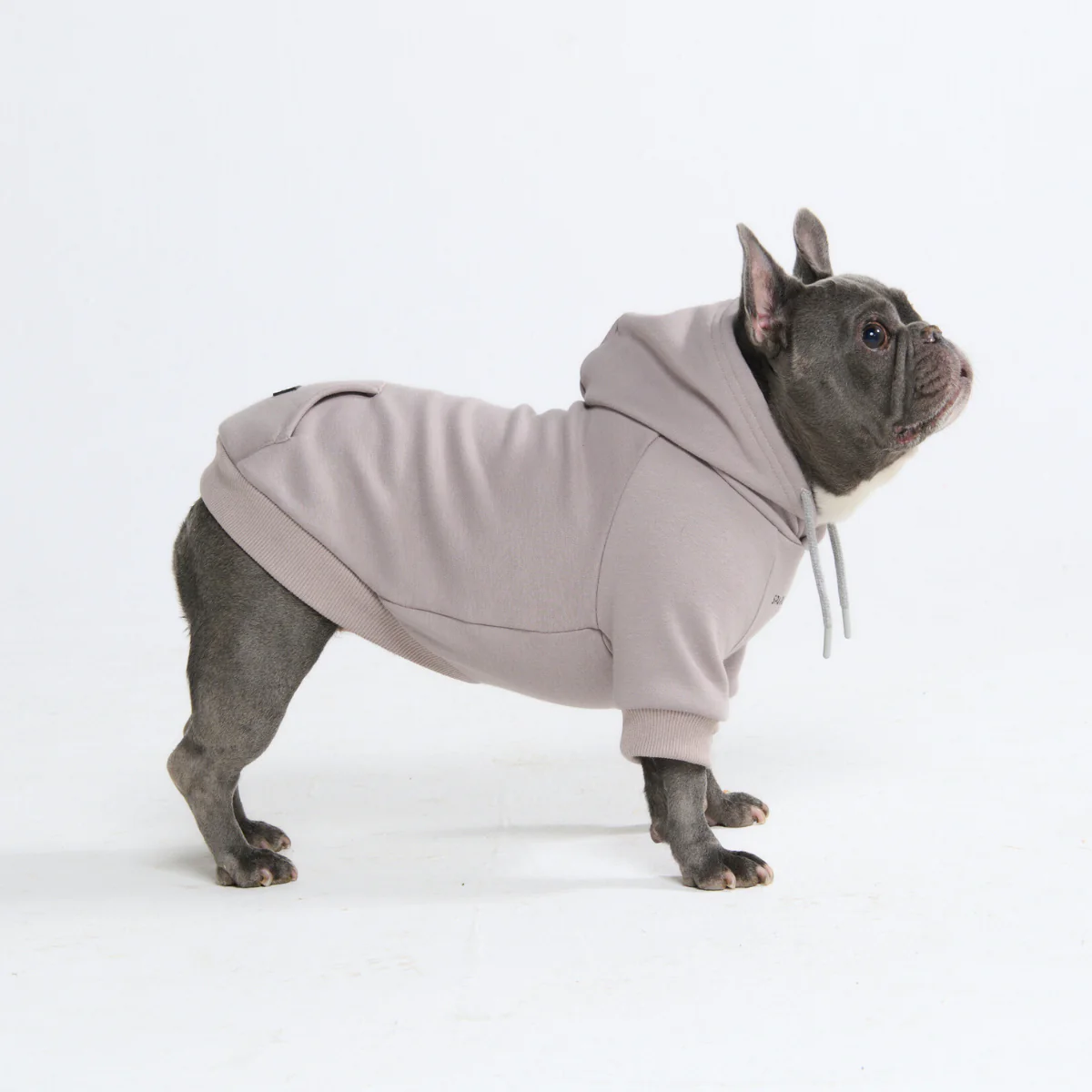 Essential Dog Hoodie - Clay - Image 10