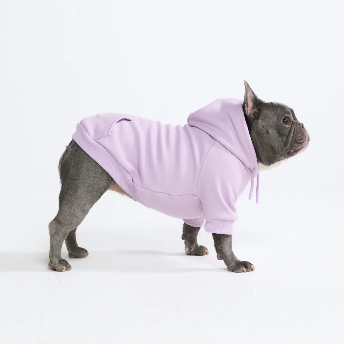 Essential Dog Hoodie - Lavender - Image 3