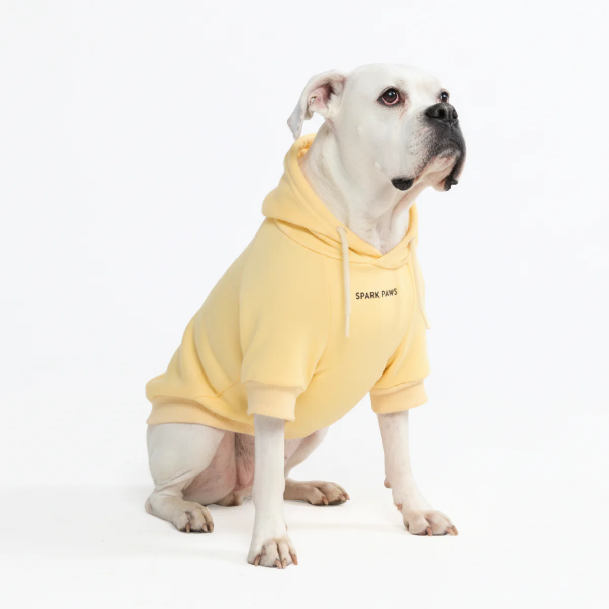 Essential Dog Hoodie - Buttercream - Image 2