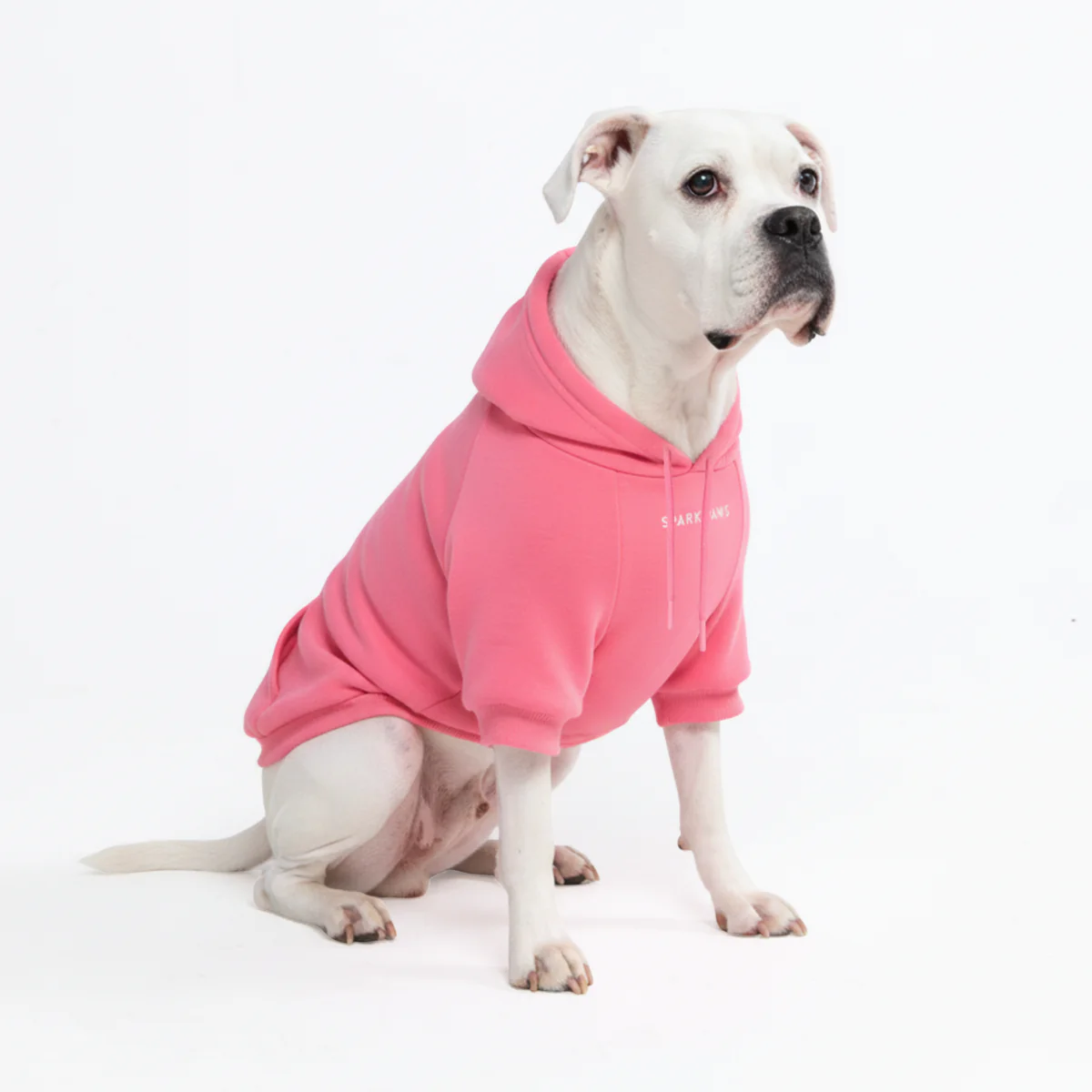 Essential Dog Hoodie - Blush Pink - Image 5