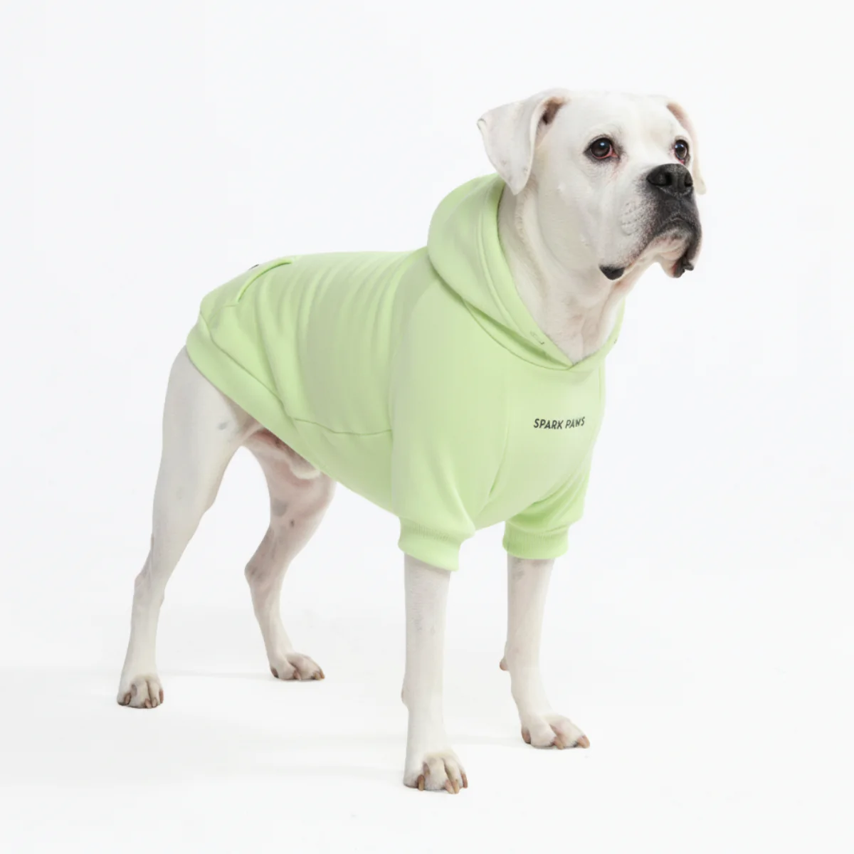 Essential Dog Hoodie - Honey Dew - Image 5