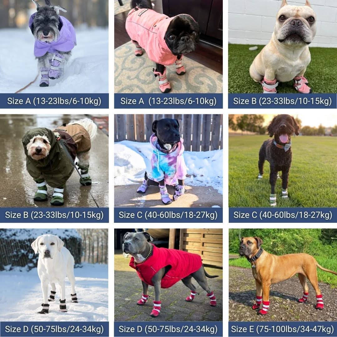 Dog Rainboots, Waterproof Dog Shoes - Black - Image 3