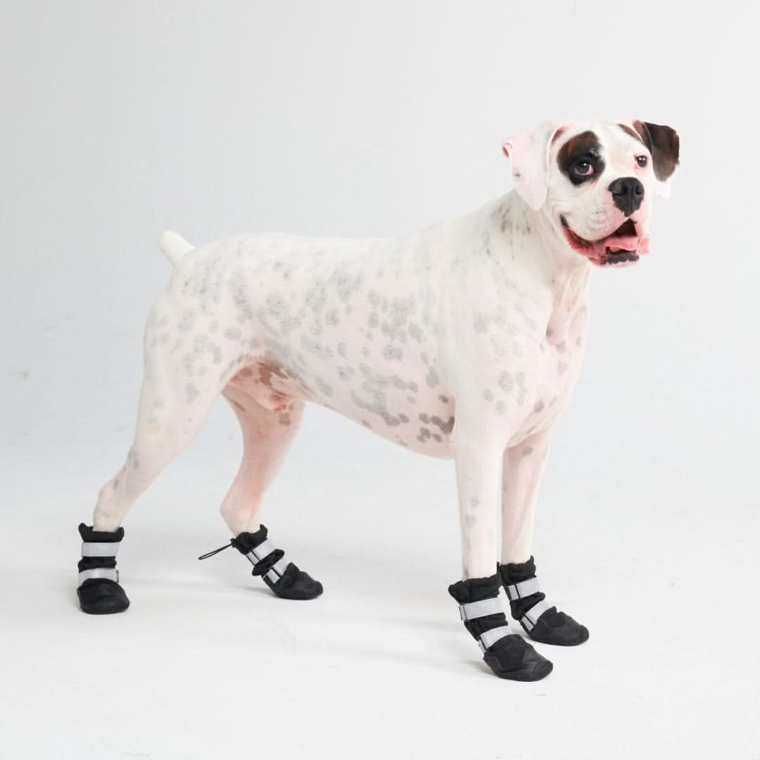 Dog Rainboots, Waterproof Dog Shoes - Black - Image 8