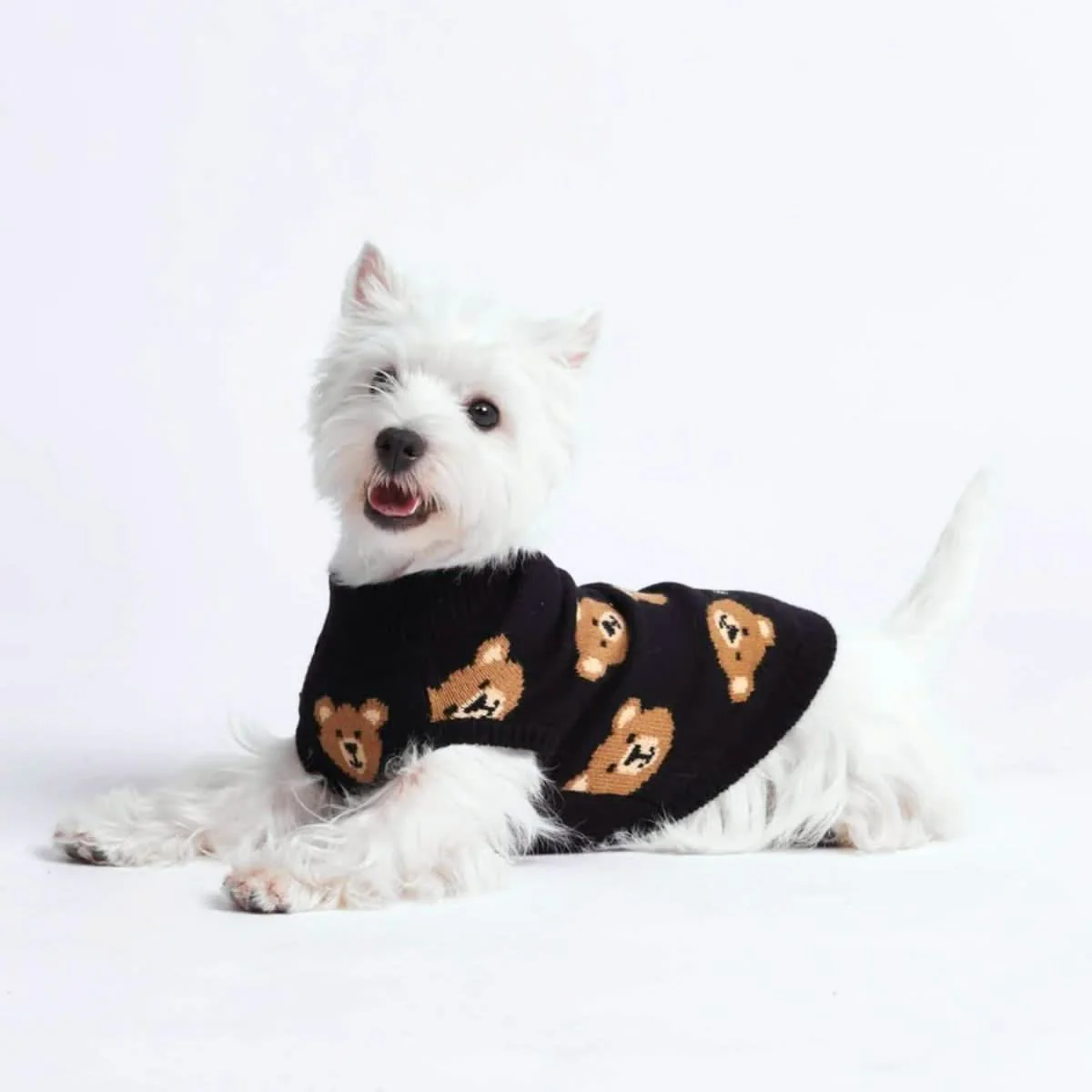 Knit Dog Sweater Prints - Image 8