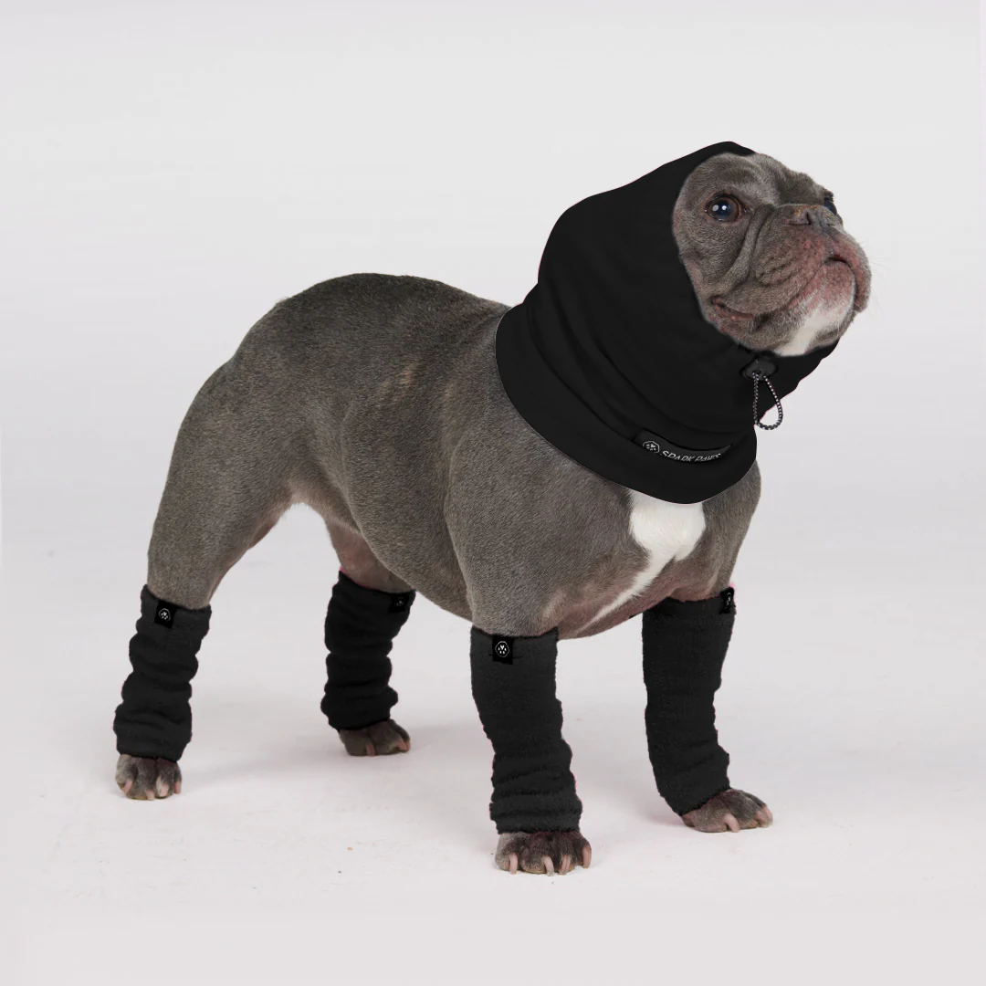 Leg Warmer and Earmuff Protector Set - Black