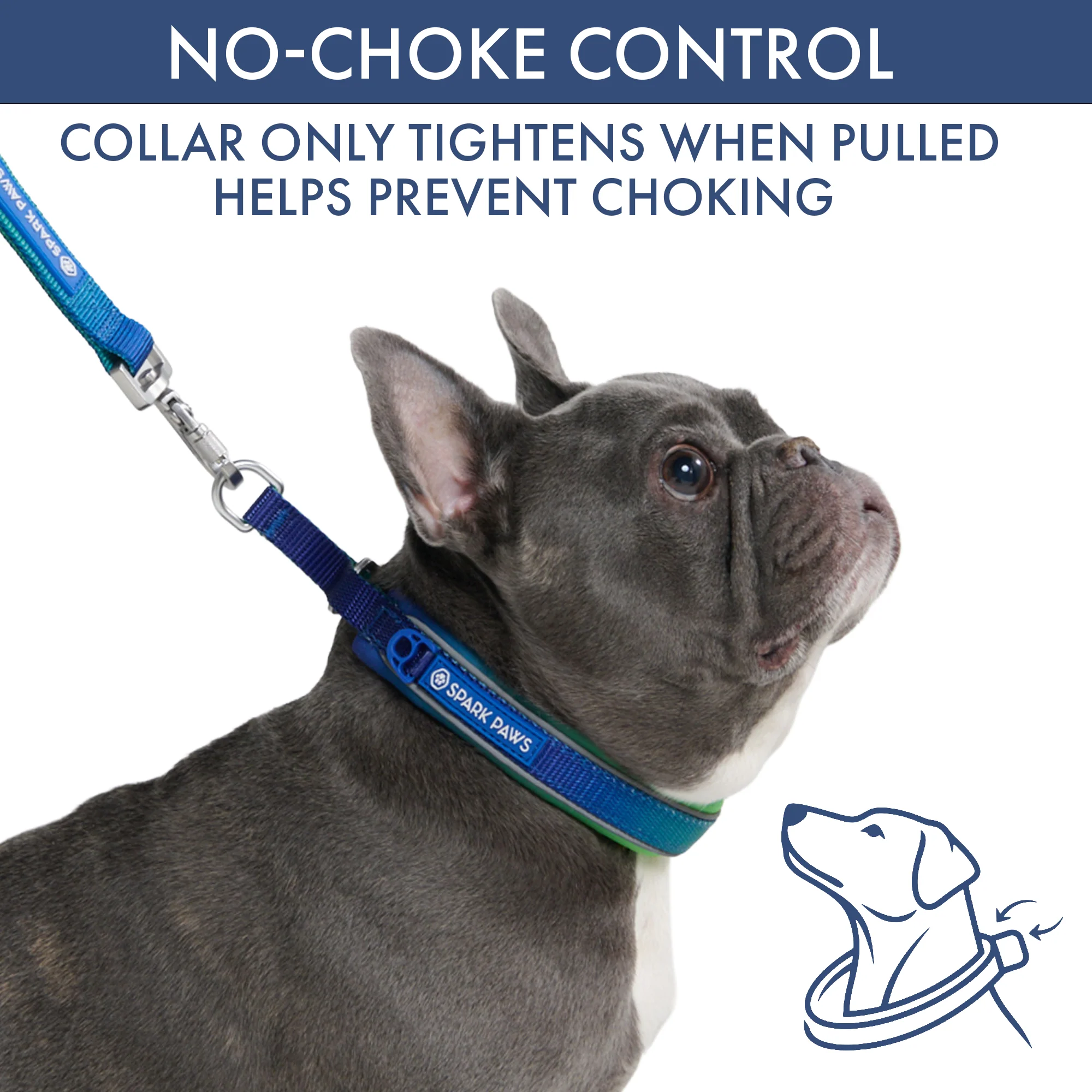Martingale Collar and Multipurpose Leash Sets - Image 2