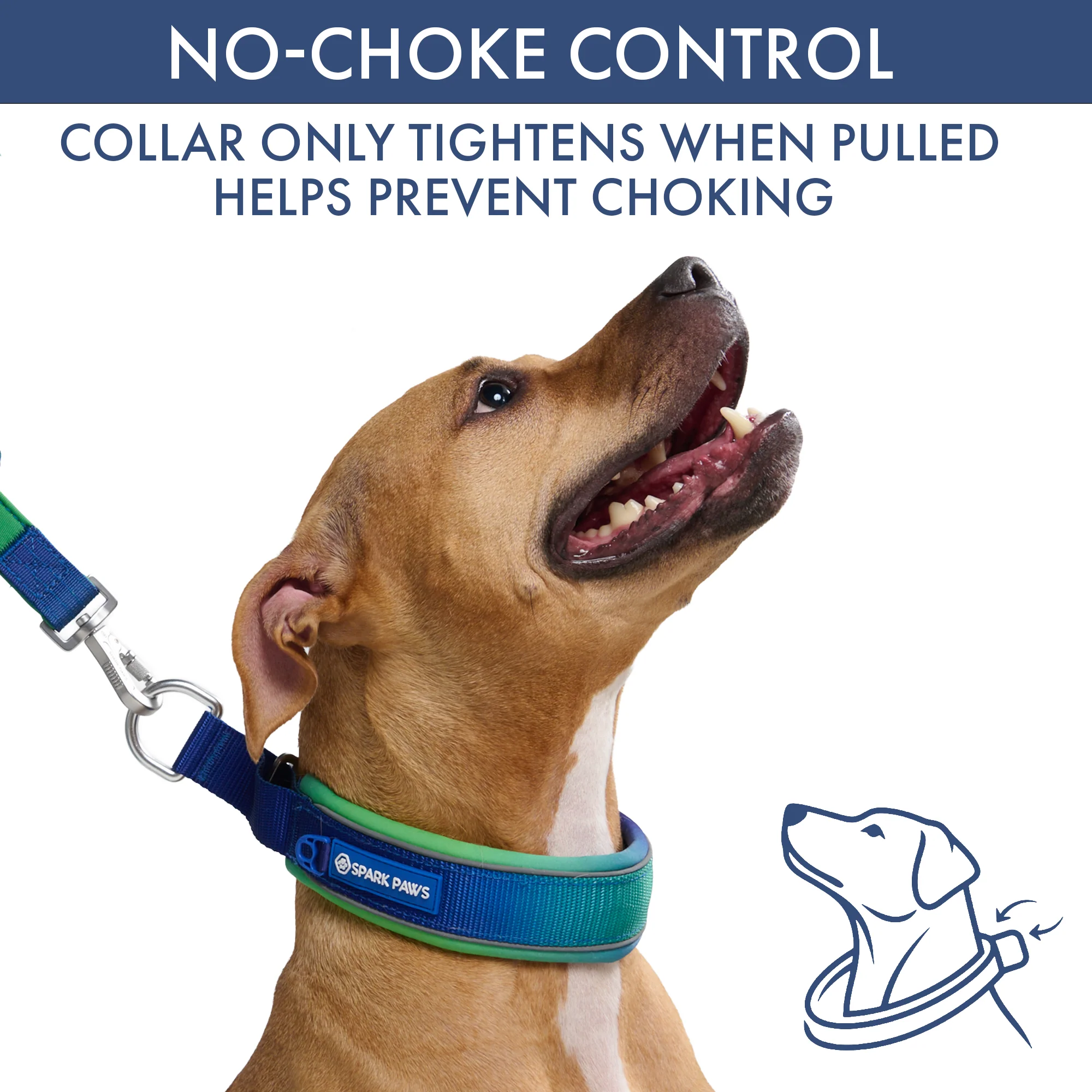 Martingale Collar and Multipurpose Leash Sets - Image 3