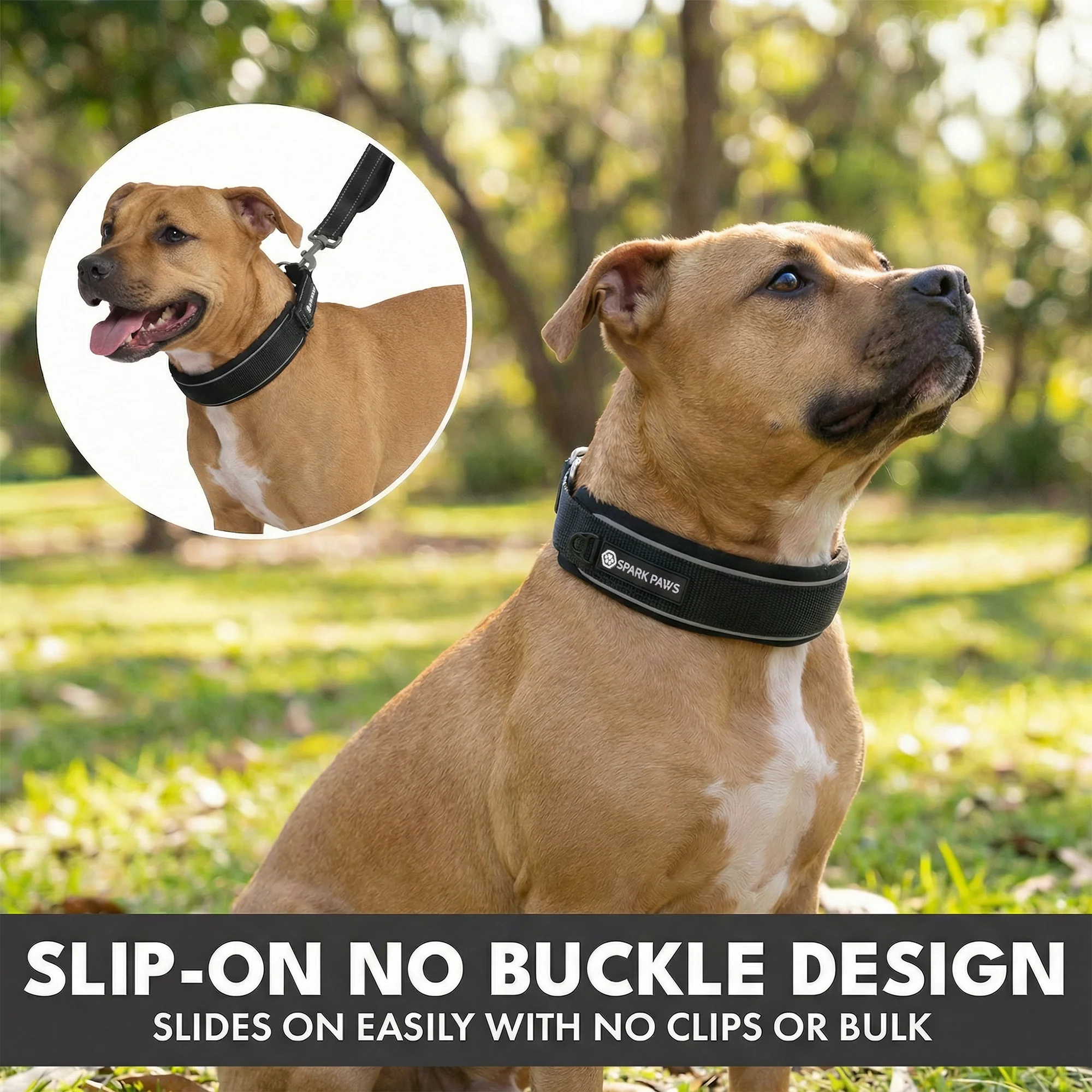 Martingale Collar and Multipurpose Leash Sets - Image 35