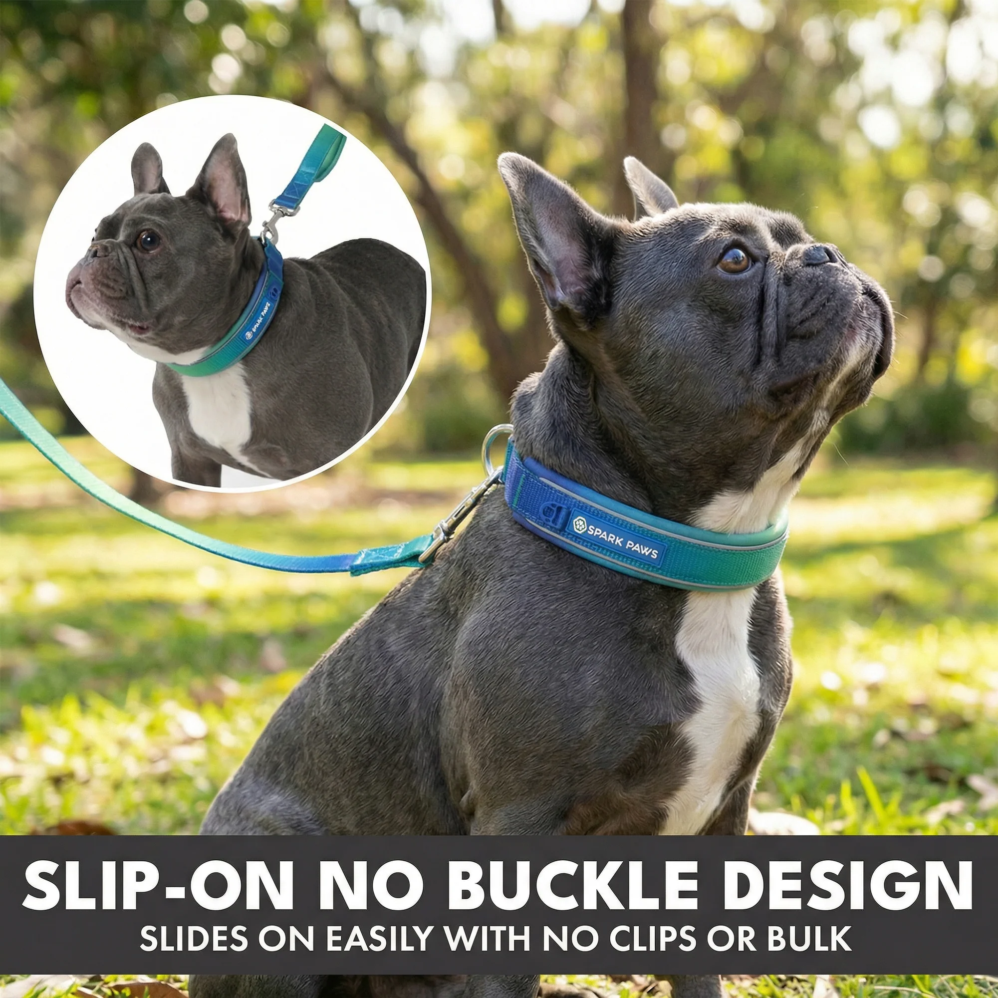 Martingale Collar and Multipurpose Leash Sets - Image 4