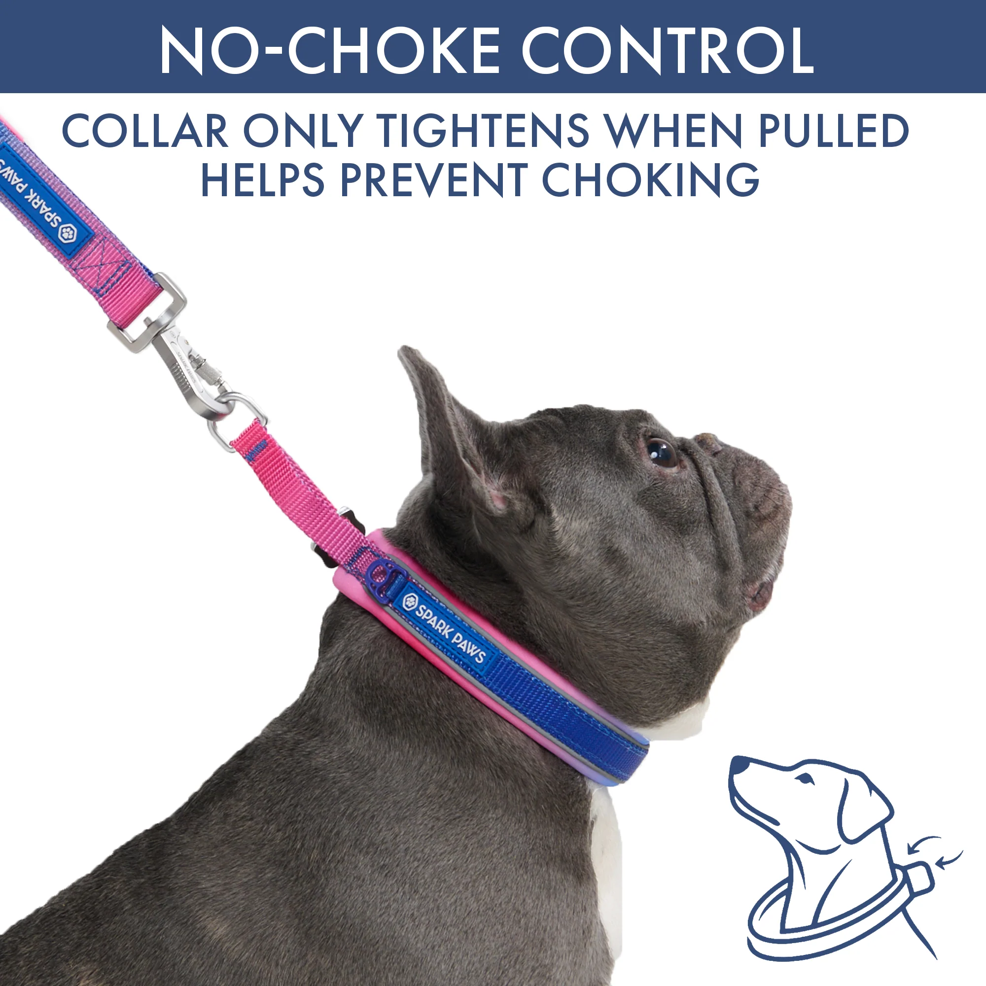 Martingale Collar and Multipurpose Leash Sets - Image 52