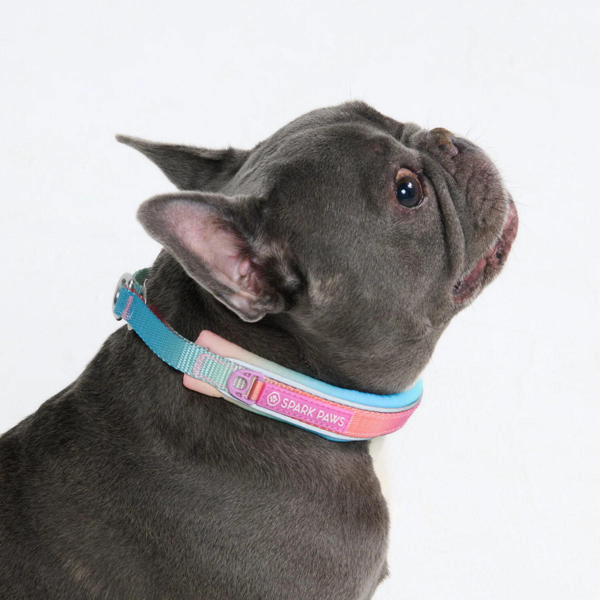 Cushioned Martingale Collars - Image 15