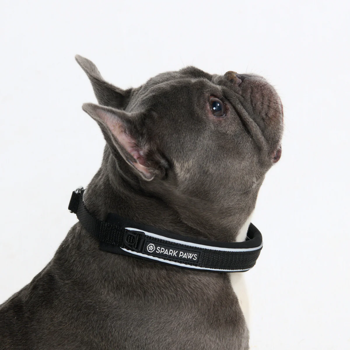 Cushioned Martingale Collars - Image 36