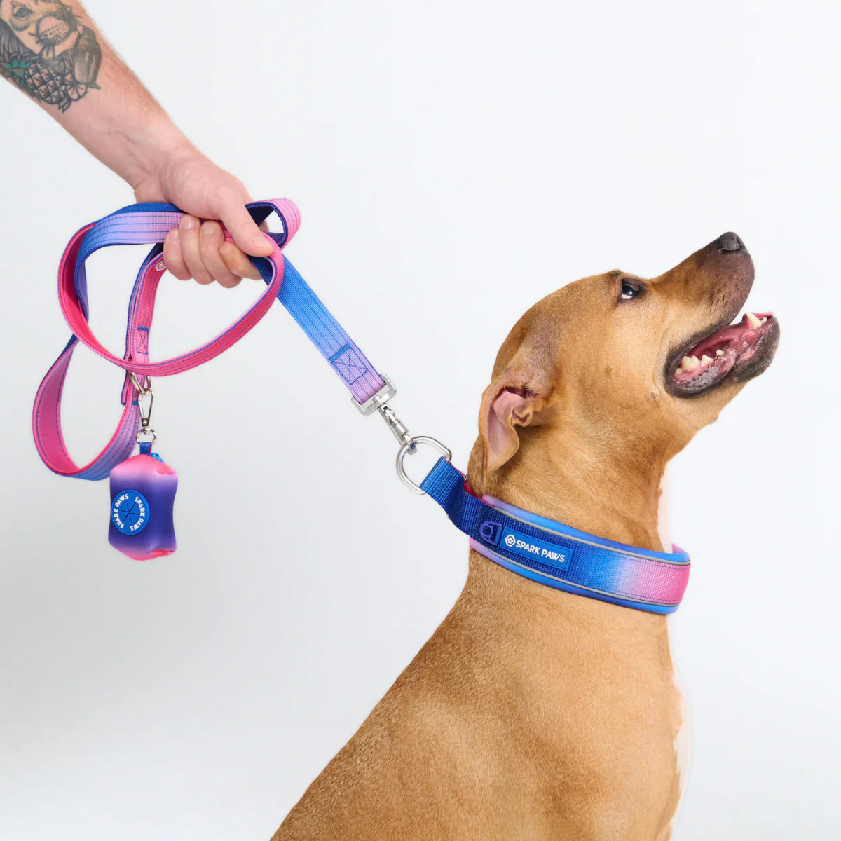 Cushioned Martingale Collars - Image 63