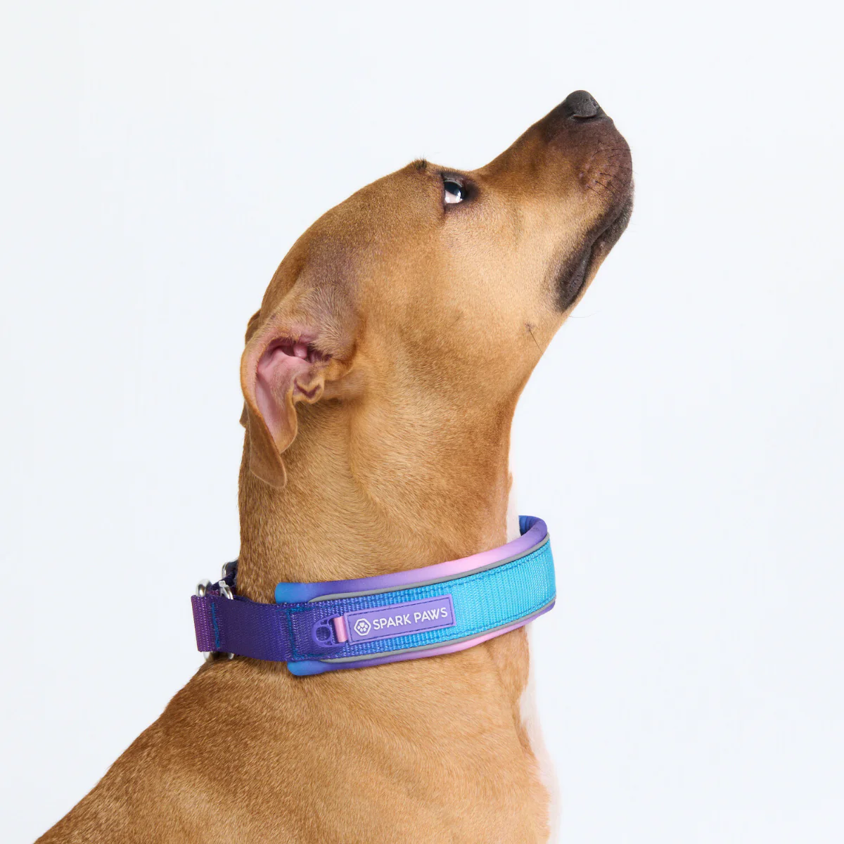 Cushioned Martingale Collars - Image 8