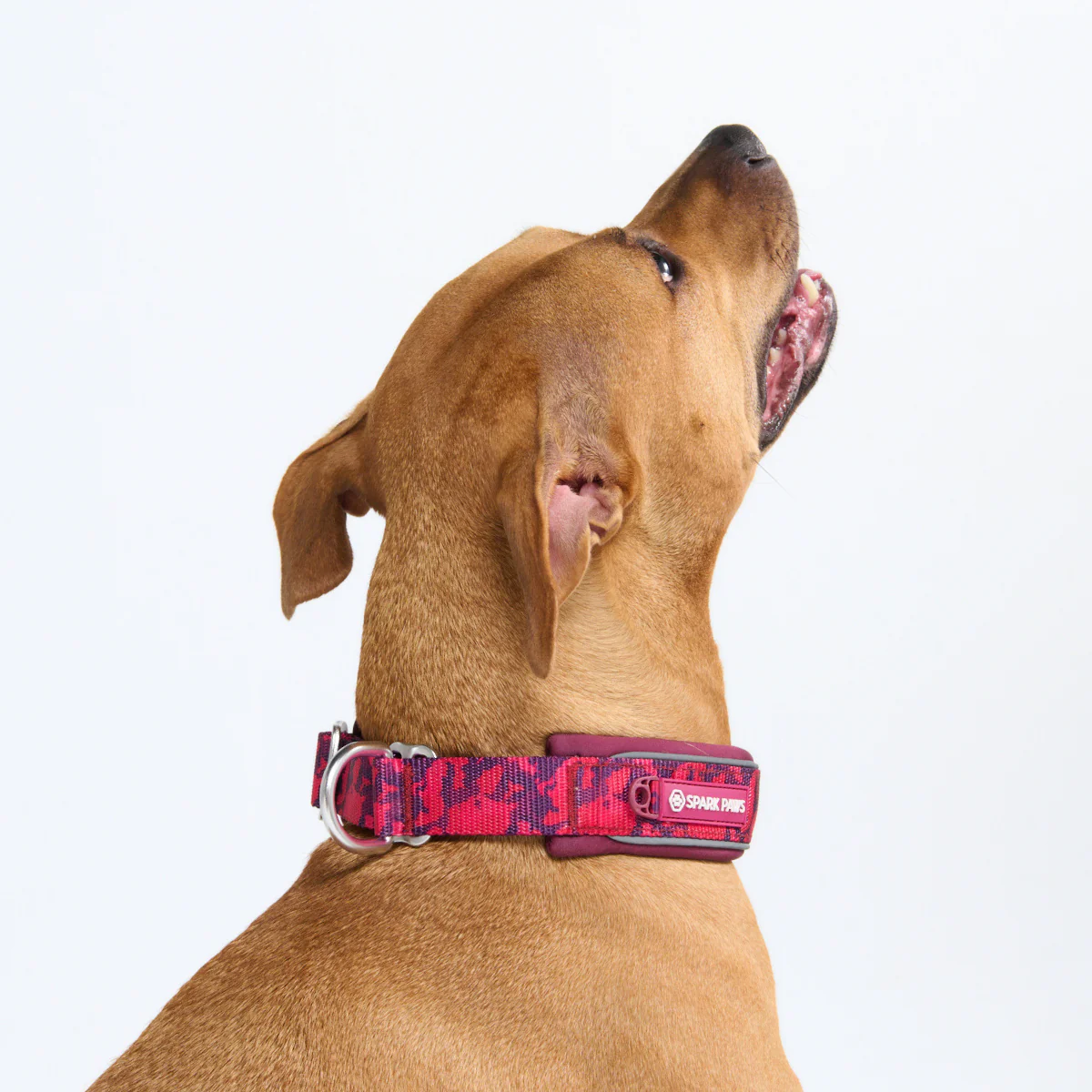 Cushioned Martingale Collars - Image 84
