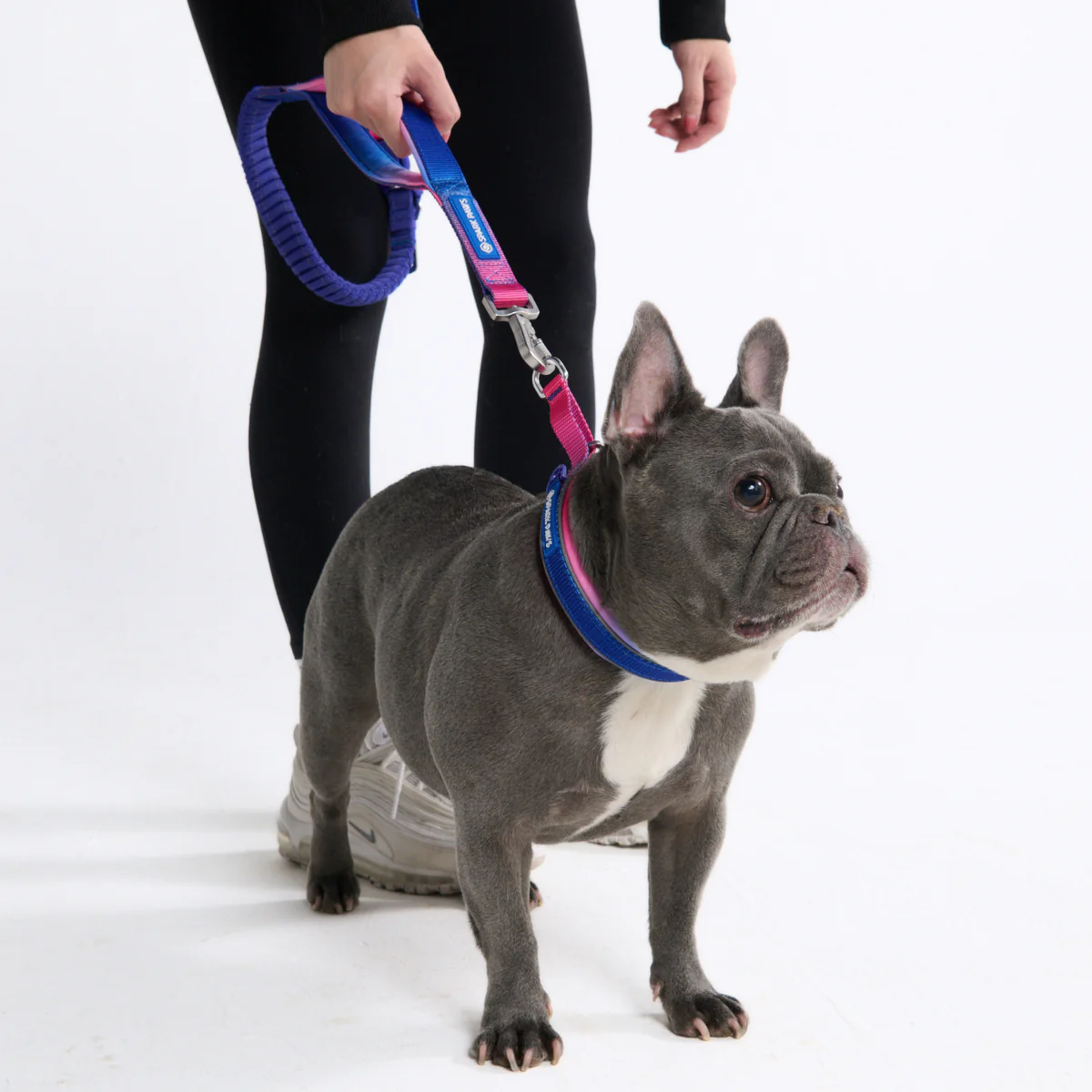Multipurpose Seatbelt Handsfree Leash & Poop Bag Holder Set - Image 46