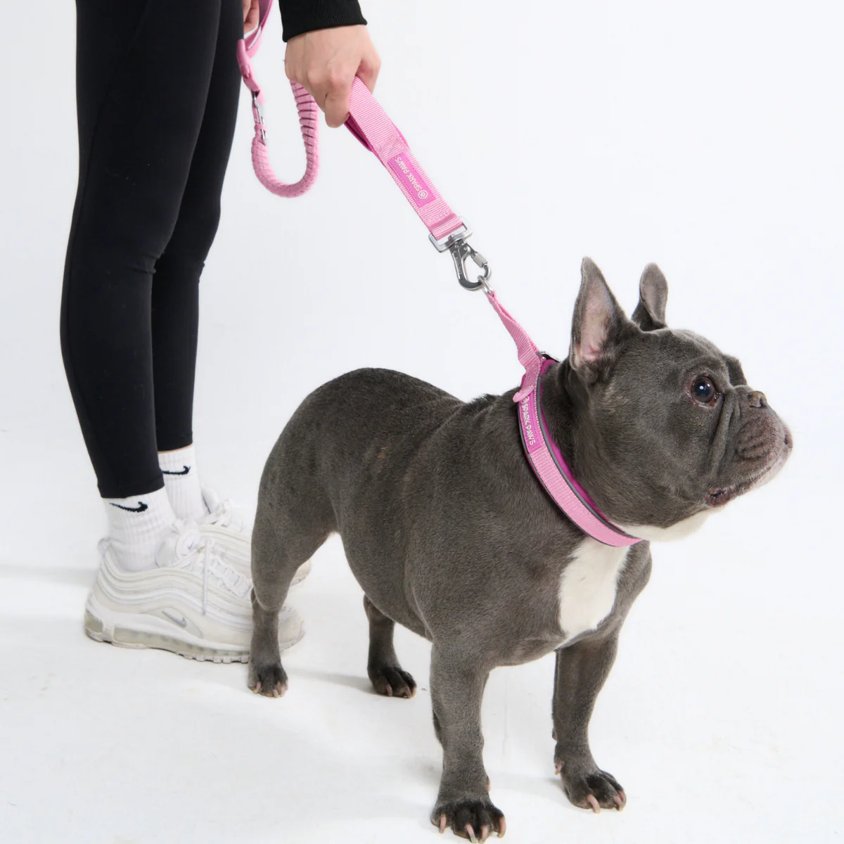 Multipurpose Seatbelt Handsfree Leash & Poop Bag Holder Set - Pink - Image 8