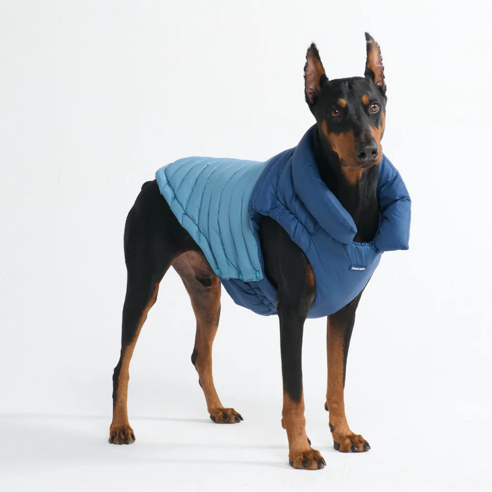 PuffShield Winter Jackets - Image 30
