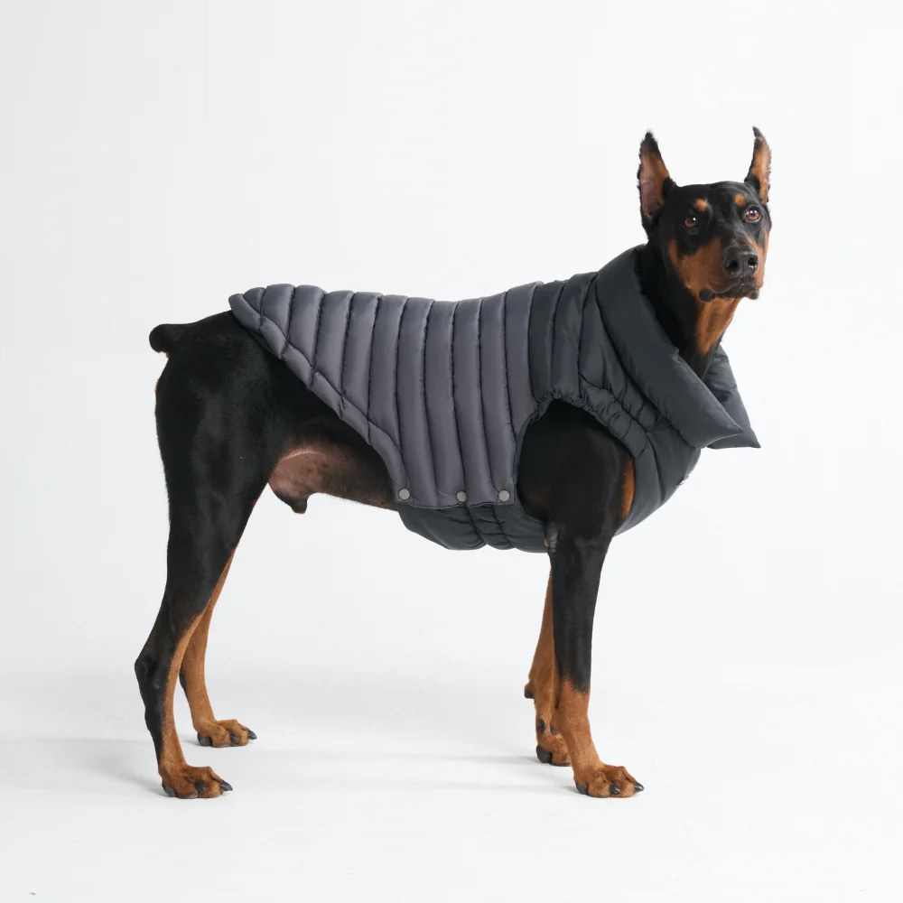PuffShield Winter Jackets - Image 49