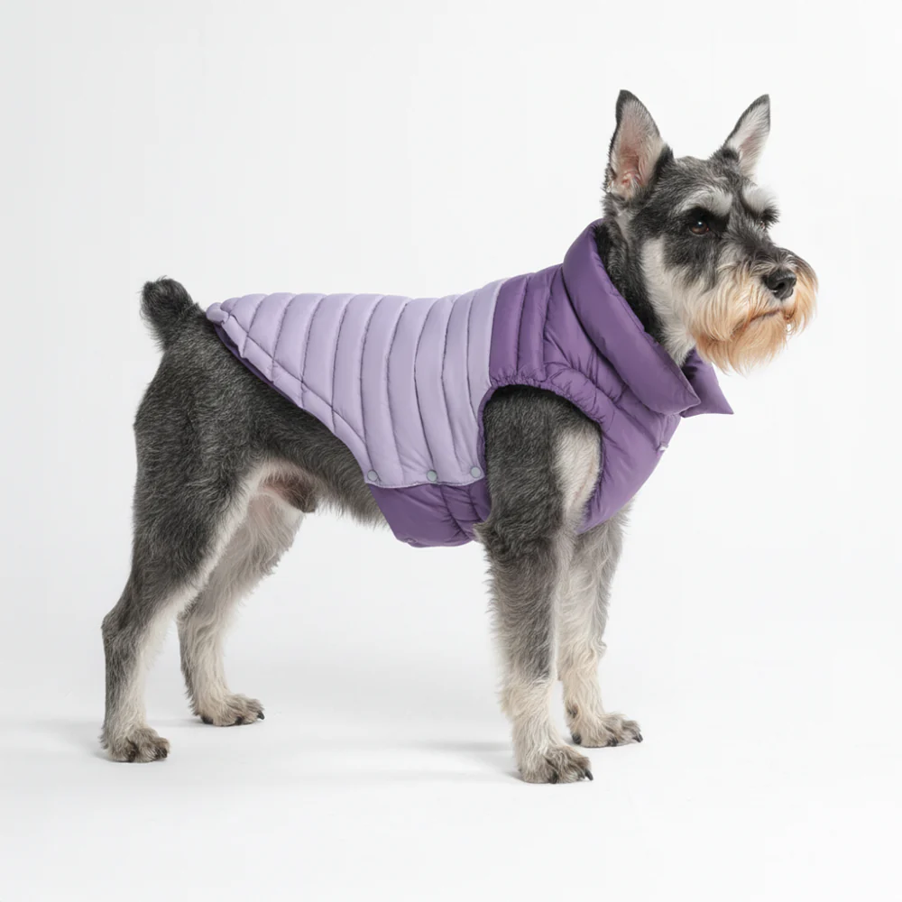 PuffShield Winter Jacket - Purple - Image 2