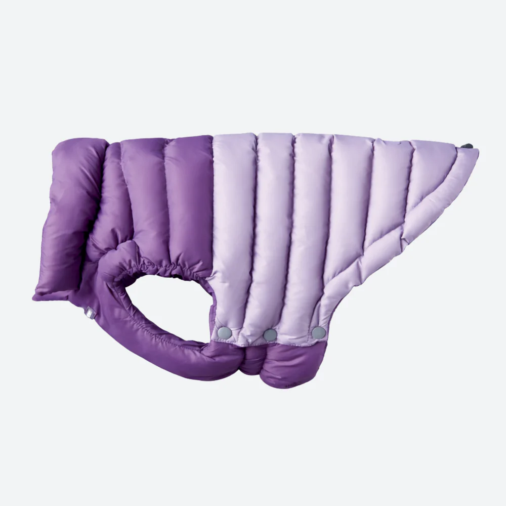 PuffShield Winter Jacket - Purple - Image 5