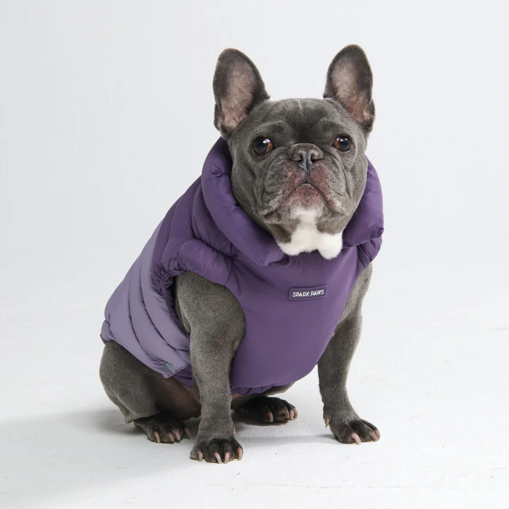 PuffShield Winter Jacket - Purple - Image 9