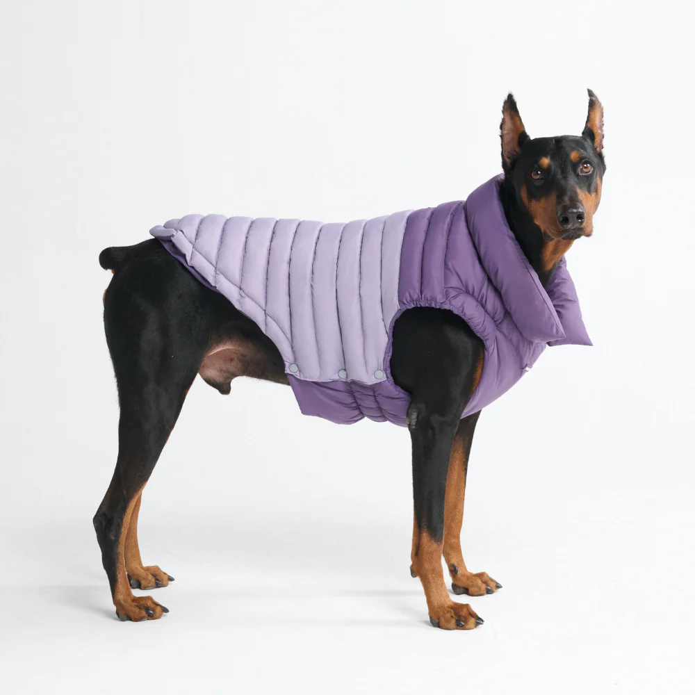 PuffShield Winter Jacket - Purple - Image 10