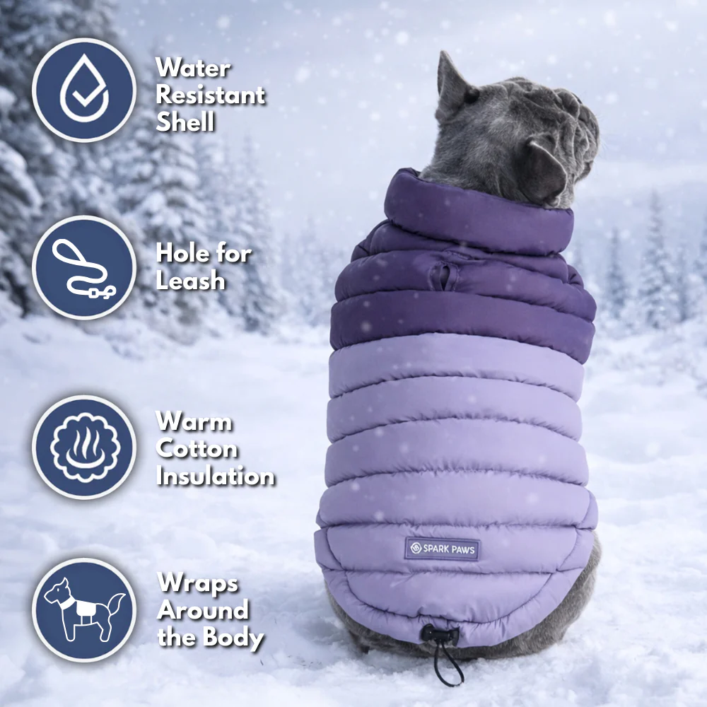 PuffShield Winter Jacket - Purple - Image 8