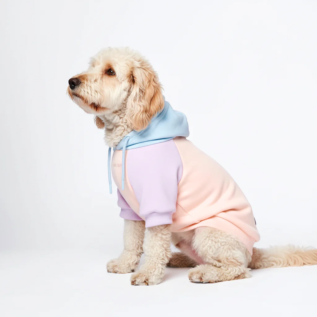 Color Block Dog Hoodies - Image 54