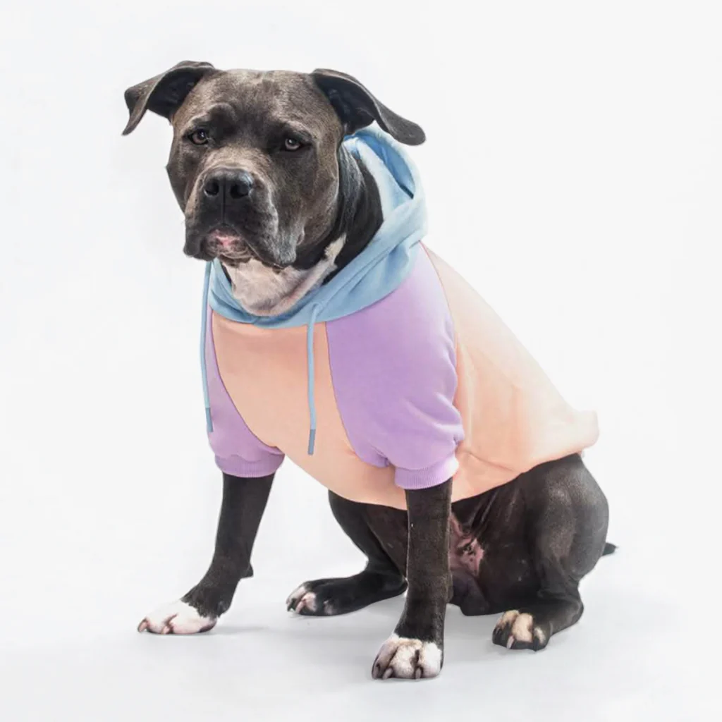Color Block Dog Hoodies - Image 56