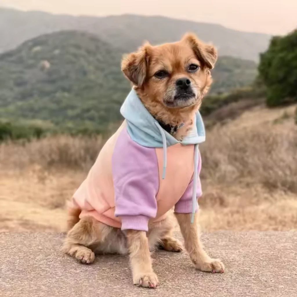 Color Block Dog Hoodies - Image 62