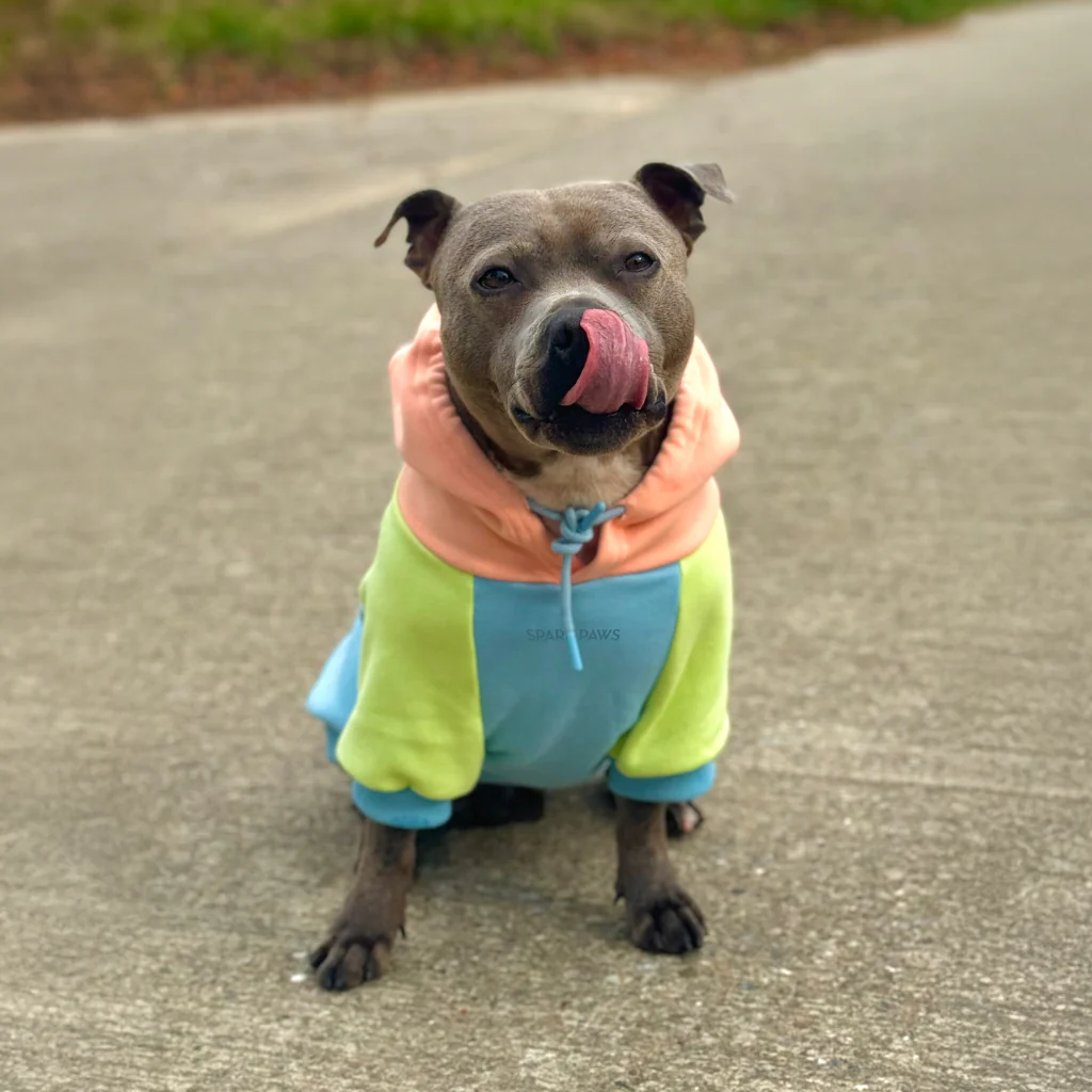 Color Block Dog Hoodies - Image 86