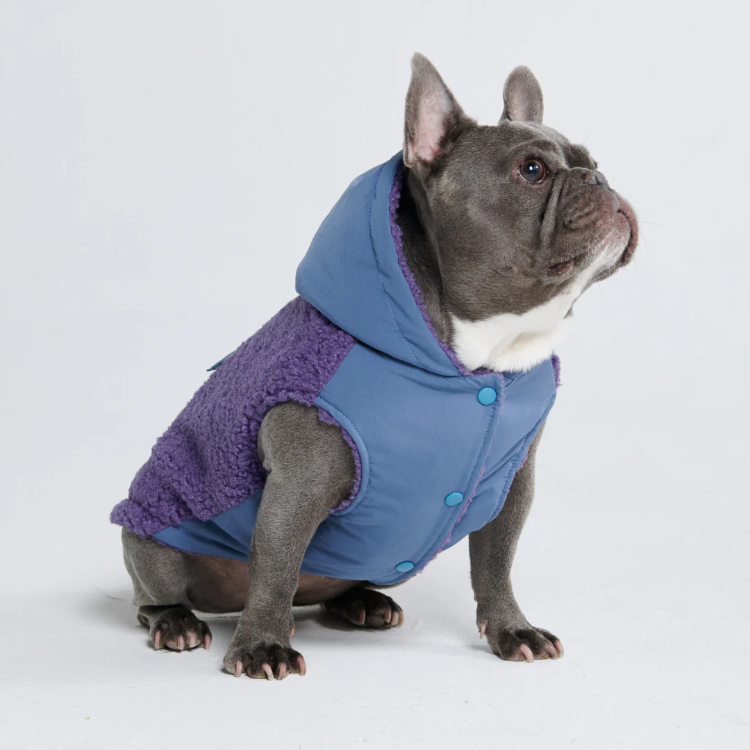 Reversible Sherpa Jacket - Purple and Blue - Image 8