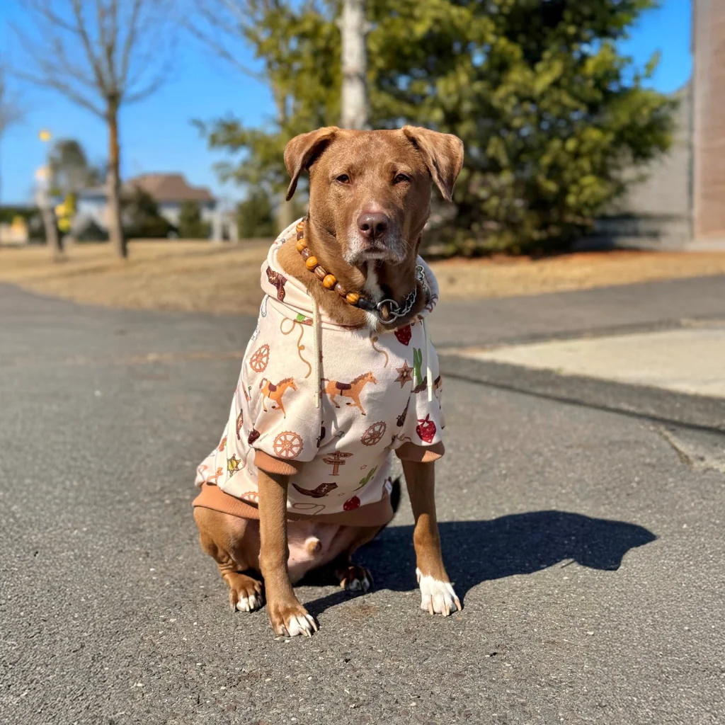 Rodeo Dog Hoodie - Image 11