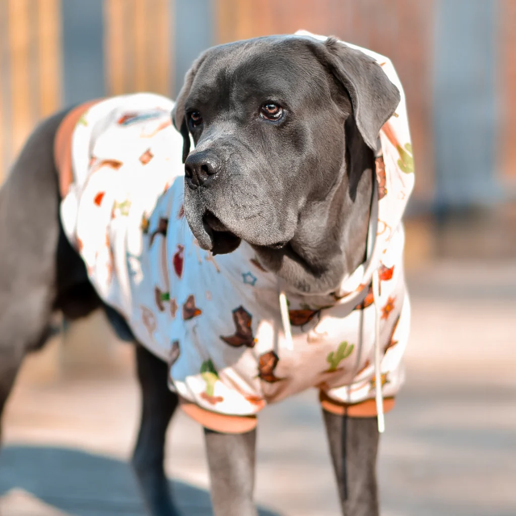 Rodeo Dog Hoodie - Image 12