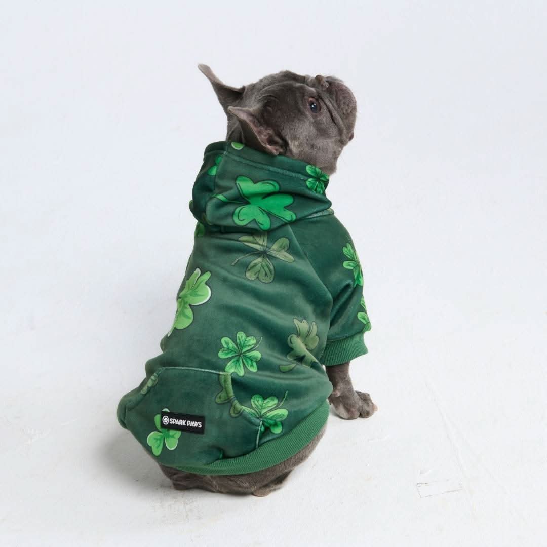 St. Paddy's Dog Hoodies (Limited Edition) - Image 2