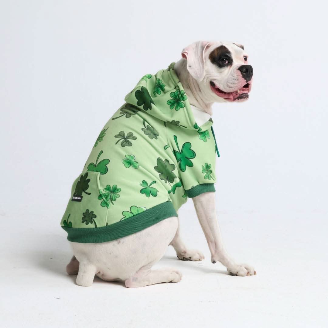 St. Paddy's Dog Hoodies (Limited Edition) - Image 6