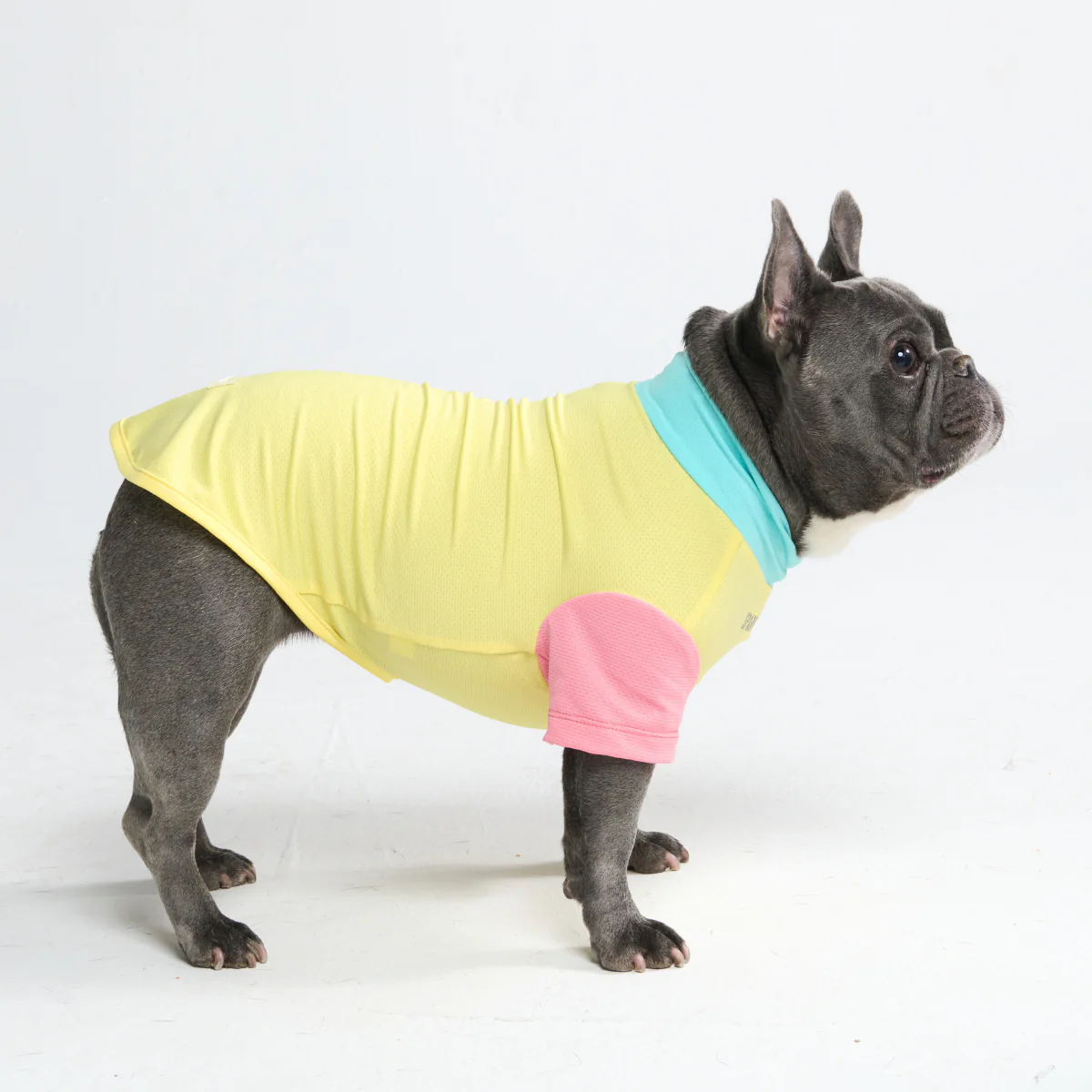 Sunblock Dog T-Shirt - Color Block - Image 45
