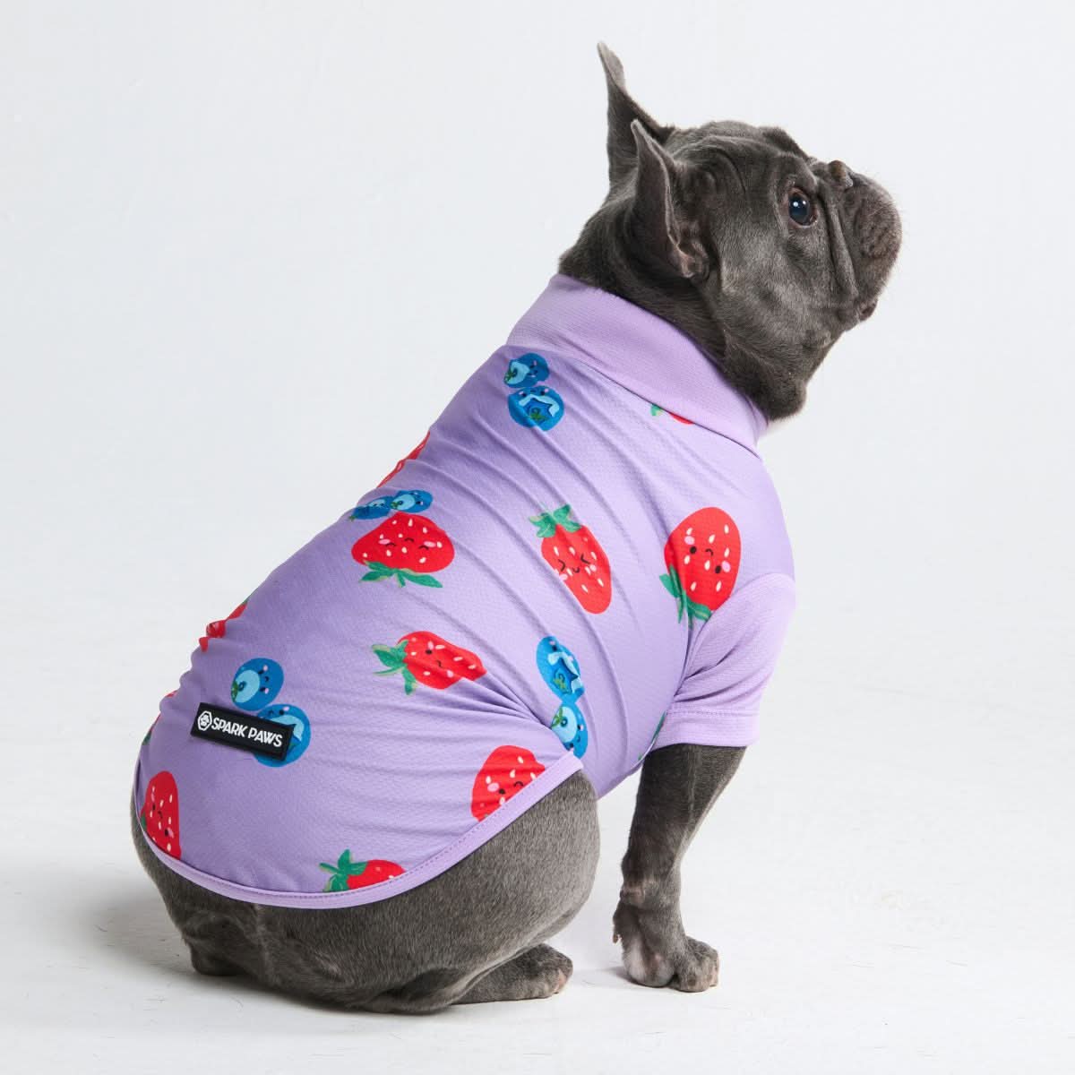 Sunblock Dog T-Shirt - Prints - Image 27